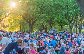 Summer concert crowd