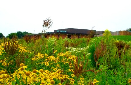 Pond Shoreline Restoration